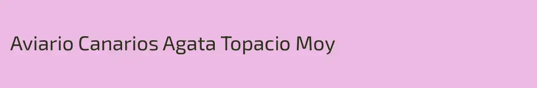 Aviario Canarios Agata Topacio Moy